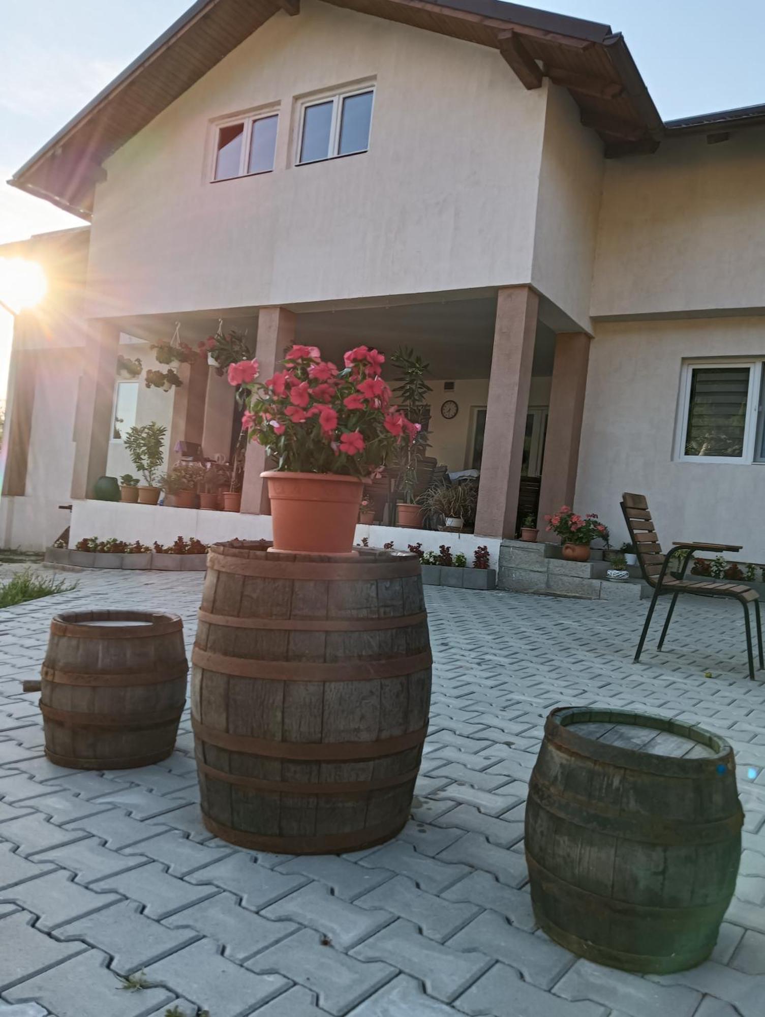 Casa Maksai Hotel Sovata Exterior photo
